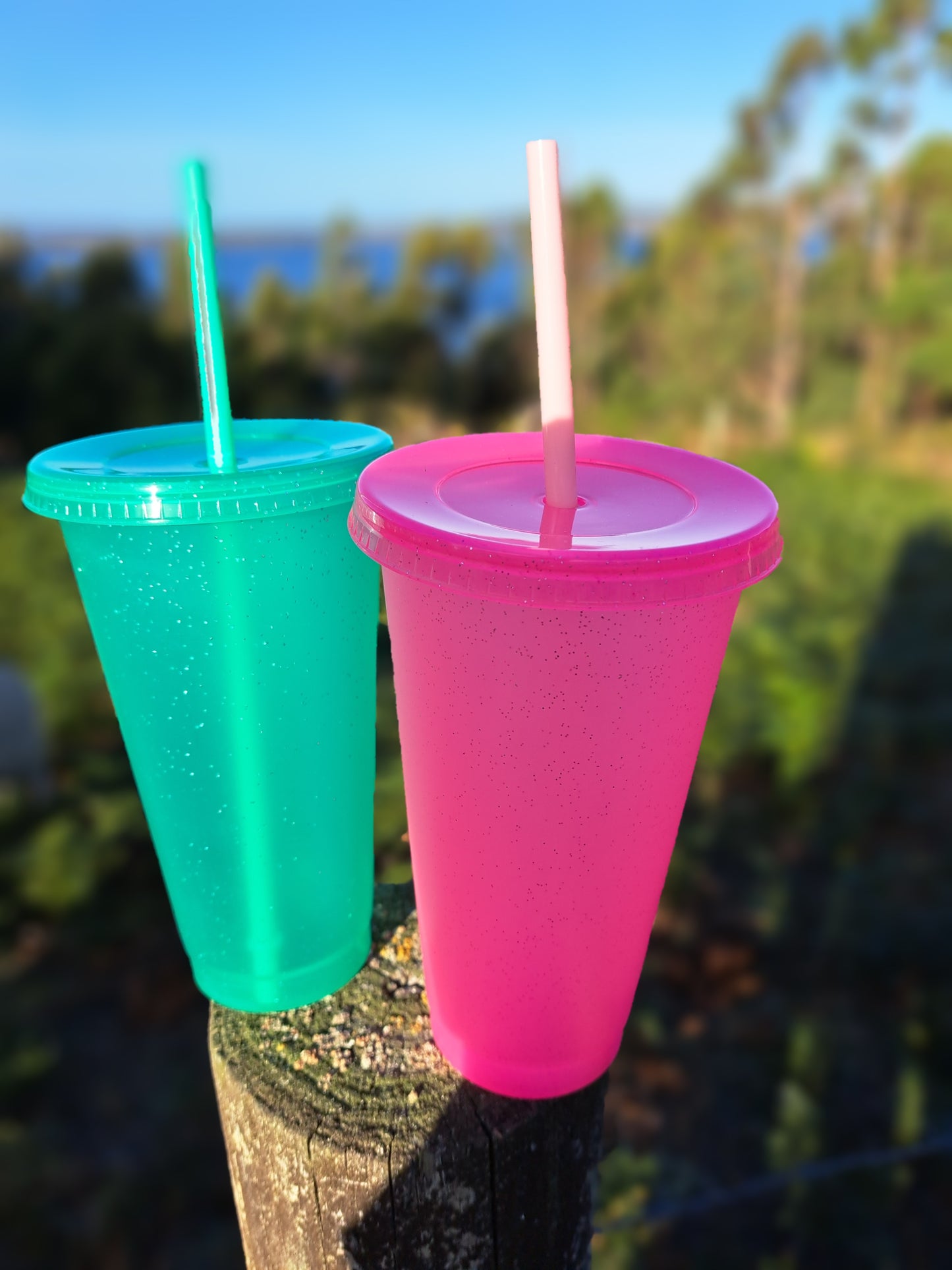 24 Oz plastic cold cups